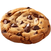 עורכת דין שלי גרשט